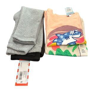 NEW 2T 4-piece Bundle: 2 pants, 2 shirts, Cat & Jack from Target $22 MSRP